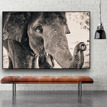 Див Африкански слон, черно-бяло животно, платно, постери и щампи, Куадрос, стенни художествени картини за вашия интериор дневна